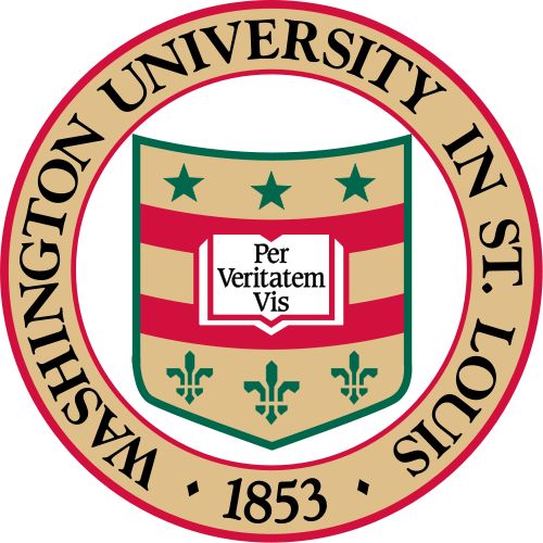 P同学